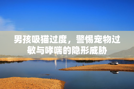 男孩吸猫过度，警惕宠物过敏与哮喘的隐形威胁