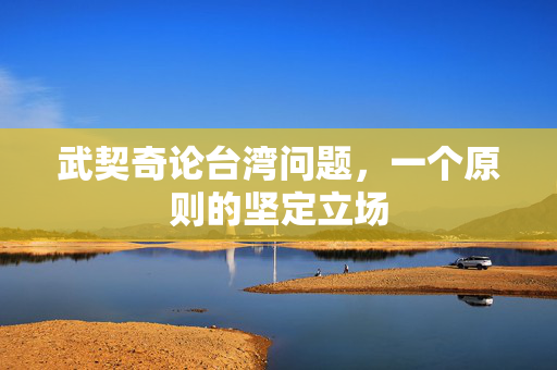 武契奇论台湾问题，一个原则的坚定立场