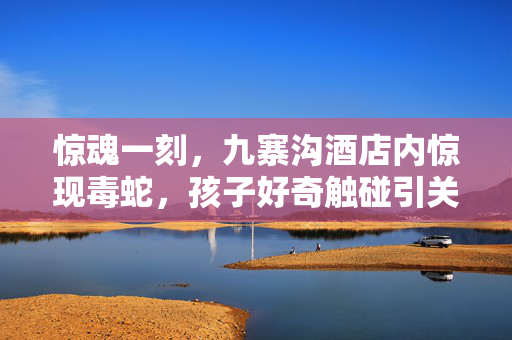 惊魂一刻，九寨沟酒店内惊现毒蛇，孩子好奇触碰引关注