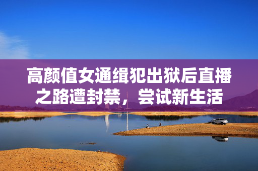 高颜值女通缉犯出狱后直播之路遭封禁，尝试新生活