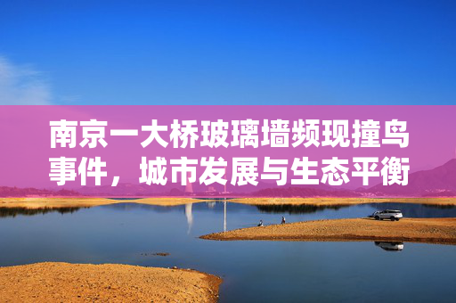 南京一大桥玻璃墙频现撞鸟事件，城市发展与生态平衡的微妙博弈