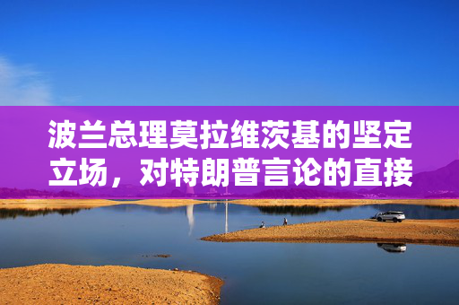 波兰总理莫拉维茨基的坚定立场，对特朗普言论的直接驳斥与欧洲团结的捍卫