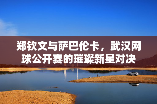 郑钦文与萨巴伦卡，武汉网球公开赛的璀璨新星对决