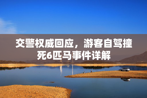 交警权威回应，游客自驾撞死6匹马事件详解