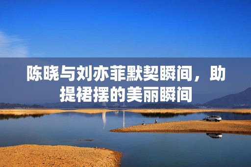 陈晓与刘亦菲默契瞬间，助提裙摆的美丽瞬间