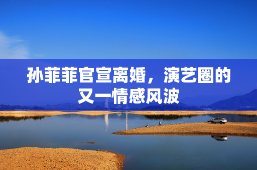 孙菲菲官宣离婚，演艺圈的又一情感风波