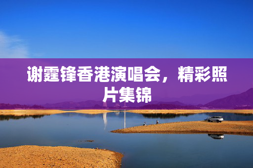 谢霆锋香港演唱会，精彩照片集锦