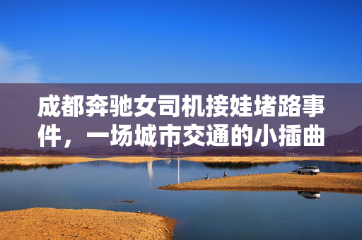 成都奔驰女司机接娃堵路事件，一场城市交通的小插曲