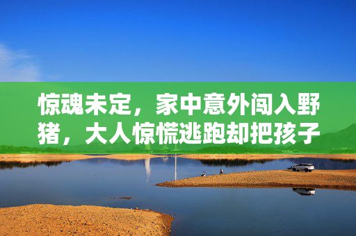 惊魂未定，家中意外闯入野猪，大人惊慌逃跑却把孩子忘在房里