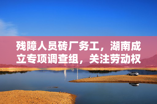 残障人员砖厂务工，湖南成立专项调查组，关注劳动权益与安全