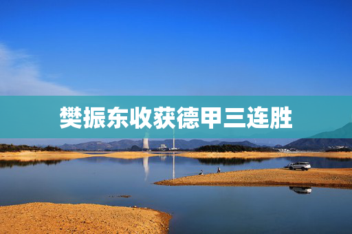 樊振东收获德甲三连胜