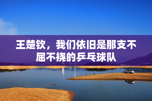 王楚钦，我们依旧是那支不屈不挠的乒乓球队