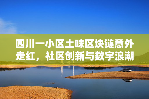 四川一小区土味区块链意外走红，社区创新与数字浪潮的奇妙融合
