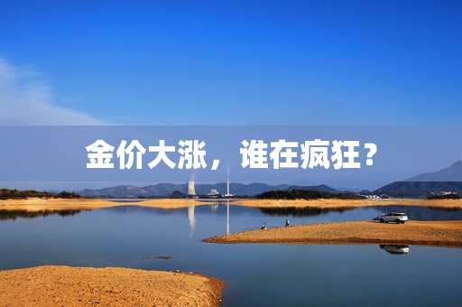 金价大涨，谁在疯狂？