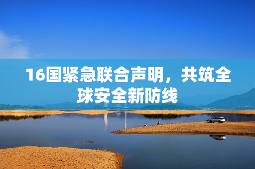16国紧急联合声明，共筑全球安全新防线