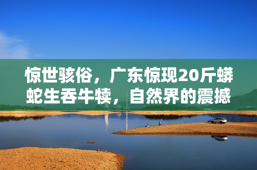 惊世骇俗，广东惊现20斤蟒蛇生吞牛犊，自然界的震撼奇观