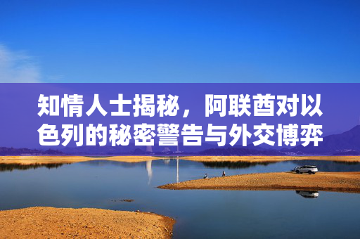知情人士揭秘，阿联酋对以色列的秘密警告与外交博弈