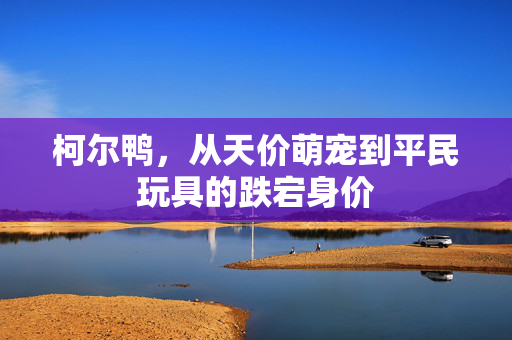 柯尔鸭，从天价萌宠到平民玩具的跌宕身价