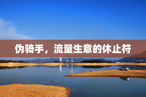伪骑手，流量生意的休止符