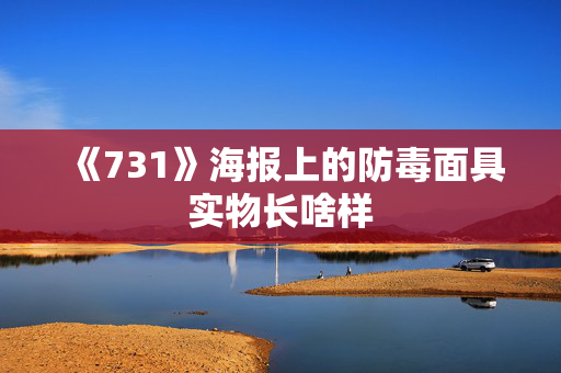 《731》海报上的防毒面具实物长啥样