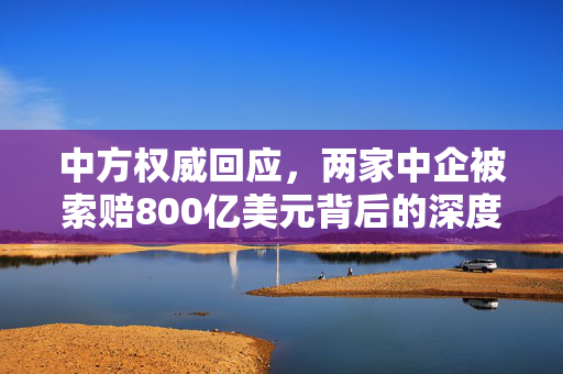 中方权威回应，两家中企被索赔800亿美元背后的深度解析与立场阐述