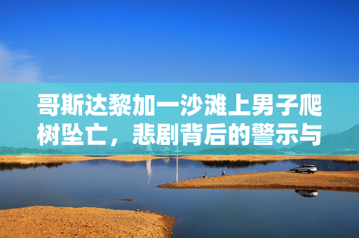 哥斯达黎加一沙滩上男子爬树坠亡，悲剧背后的警示与思考