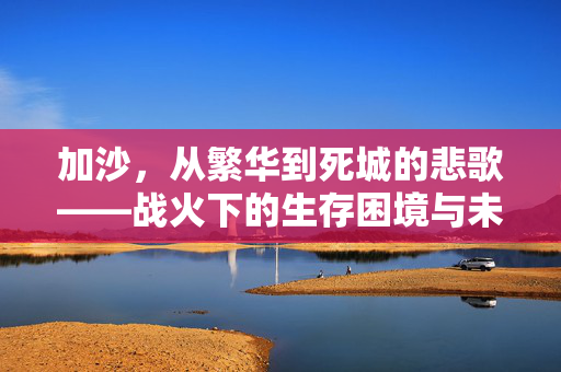 加沙，从繁华到死城的悲歌——战火下的生存困境与未来展望