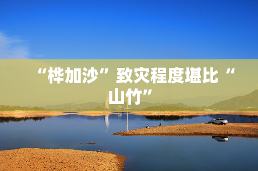 “桦加沙”致灾程度堪比“山竹”