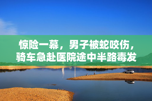 惊险一幕，男子被蛇咬伤，骑车急赴医院途中半路毒发摔倒