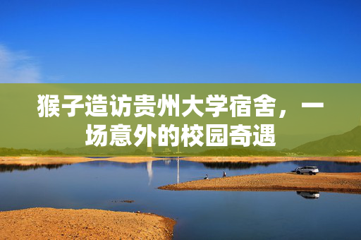 猴子造访贵州大学宿舍，一场意外的校园奇遇
