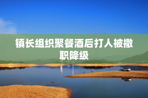 镇长组织聚餐酒后打人被撤职降级