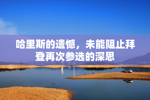 哈里斯的遗憾，未能阻止拜登再次参选的深思