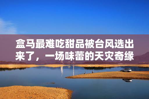 盒马最难吃甜品被台风选出来了，一场味蕾的天灾奇缘