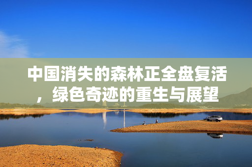 中国消失的森林正全盘复活，绿色奇迹的重生与展望