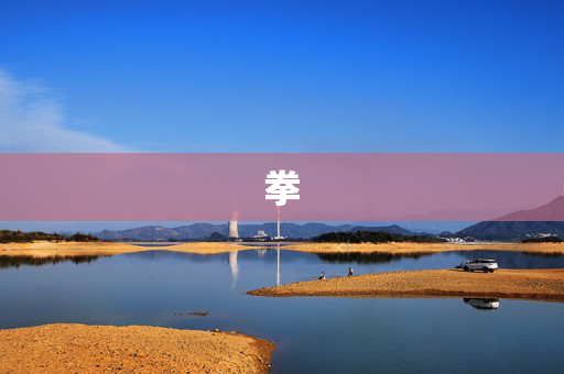 拳