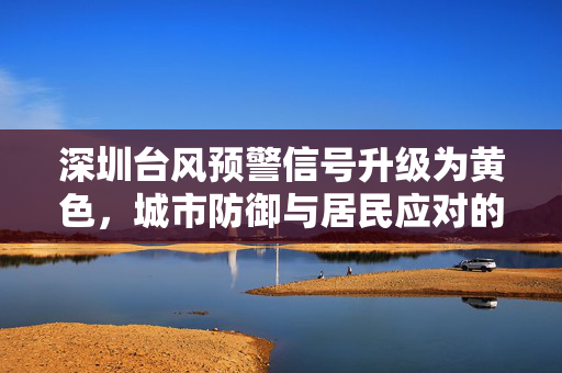 深圳台风预警信号升级为黄色，城市防御与居民应对的全面指南