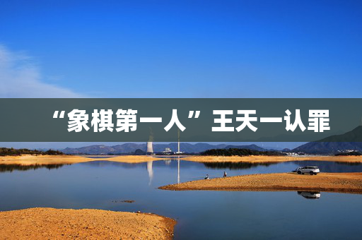 “象棋第一人”王天一认罪