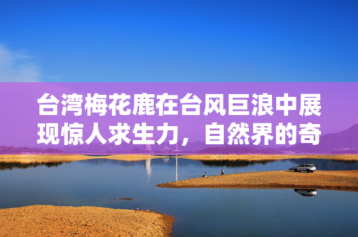 台湾梅花鹿在台风巨浪中展现惊人求生力，自然界的奇迹与生命力的赞歌