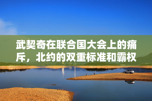 武契奇在联合国大会上的痛斥，北约的双重标准和霸权行径