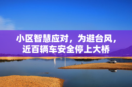 小区智慧应对，为避台风，近百辆车安全停上大桥