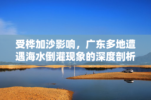受桦加沙影响，广东多地遭遇海水倒灌现象的深度剖析