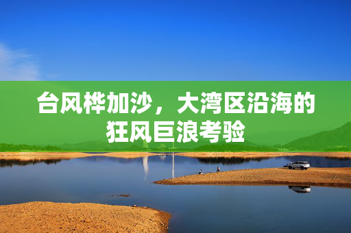 台风桦加沙，大湾区沿海的狂风巨浪考验