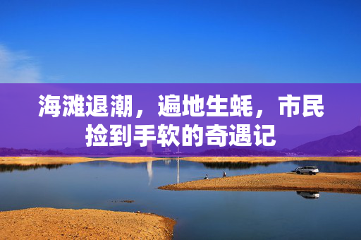 海滩退潮，遍地生蚝，市民捡到手软的奇遇记
