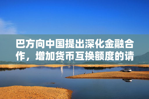 巴方向中国提出深化金融合作，增加货币互换额度的请求