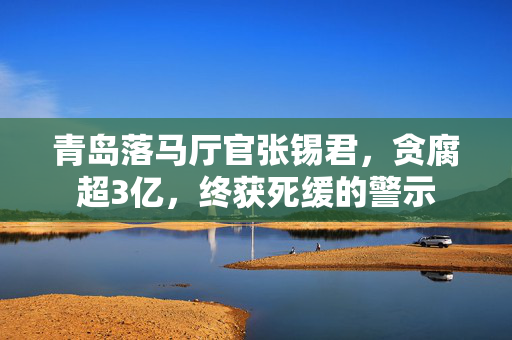 青岛落马厅官张锡君，贪腐超3亿，终获死缓的警示