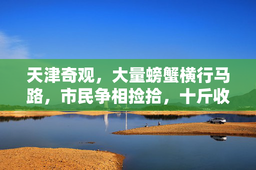 天津奇观，大量螃蟹横行马路，市民争相捡拾，十斤收获成日常
