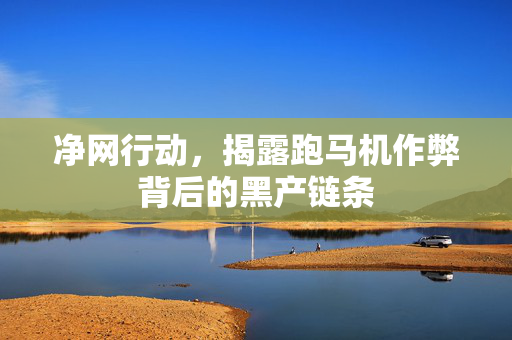 净网行动，揭露跑马机作弊背后的黑产链条