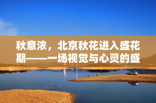 秋意浓，北京秋花进入盛花期——一场视觉与心灵的盛宴