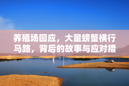 养殖场回应，大量螃蟹横行马路，背后的故事与应对措施