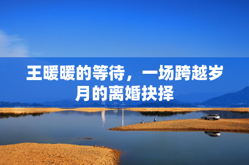 王暖暖的等待，一场跨越岁月的离婚抉择